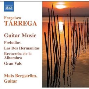 Download track 21. Maria Gavota Francisco Tárrega