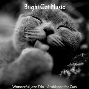 Download track Happening Ambience For Resting Kittens Bright Cat Music