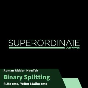 Download track Binary Splitting (Yefim Malko Rmx) Roman RidderYefim Malko