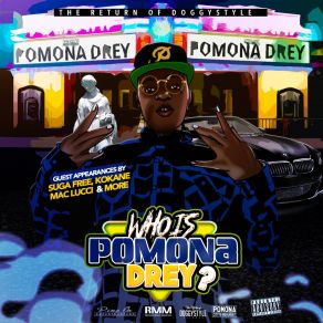 Download track Complicated Pomona DreyBugsy, William S, Lil Nate Dogg