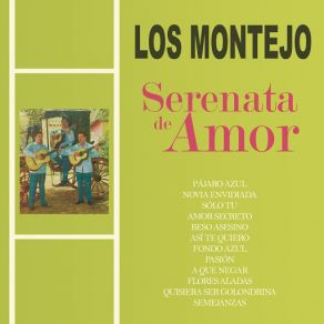 Download track Fondo Azul Los Montejo