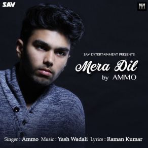 Download track Mera Dil Ammo