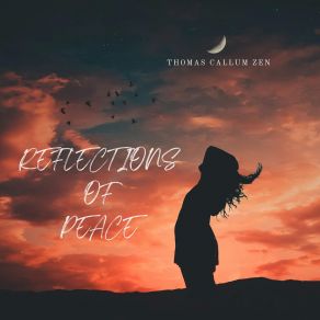 Download track Soothing Serenade Thomas Callum Zen