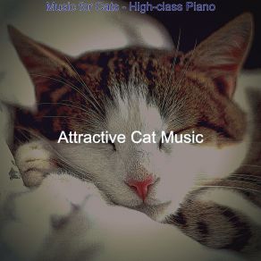 Download track Casual Backdrops For Kittens Attractive Cat Music