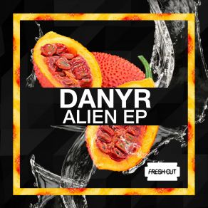 Download track Alien Message (Original Mix) Danyr