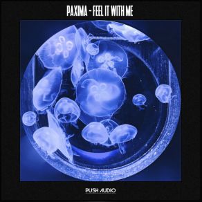 Download track Feel It With Me Paxima