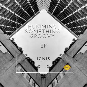 Download track Wanna Dance (Original Mix) Ignis