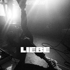 Download track Liebe (Radio Edit) Neufundland