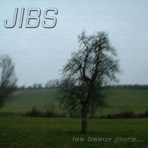 Download track Au Hasard Jibs