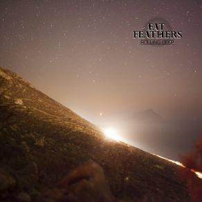 Download track Love Song Fat Feathers