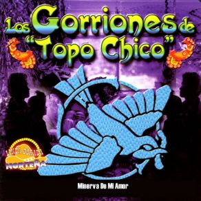 Download track Ando En Busca Los Gorriones Del Topochico