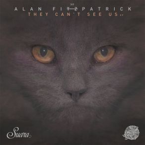 Download track You Can't See Us Alan Fitzpatrick