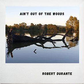 Download track We Were Born In 1969 Robert Durante