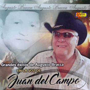 Download track Llano Florecido Juan Del Campo