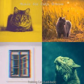 Download track Subtle (Cats) Music ForThe Cats