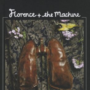 Download track I'm Not Calling You A Liar Florence And The Machine