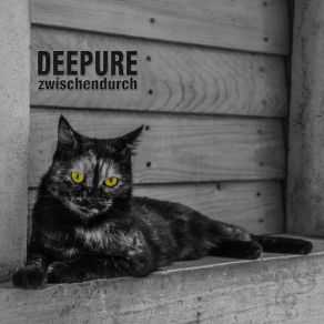 Download track Zwischen Deepure