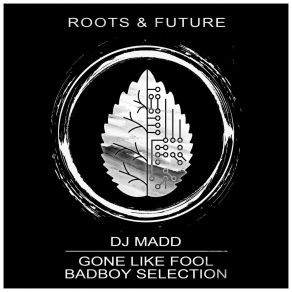 Download track Gone Like Fool DJ Madd