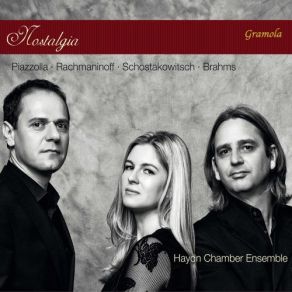 Download track Hungarian Dance In D-Flat Major, WoO 1 No. 6 (Arr. H. Ries For Piano Trio) Haydn Chamber Ensemble