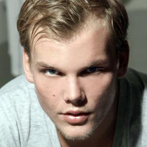 Download track Fade Into Darkness (Vocal Radio Edit) Avicii