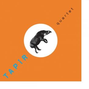 Download track La Nuit Dans Le Labyrinthe TAPIR Quartet