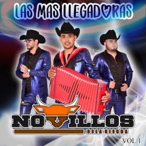 Download track La Envidia Novillos De La Sierra