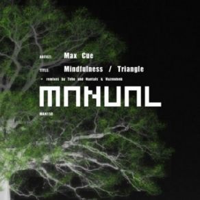 Download track Mindfulness (Original Mix) Max Cue