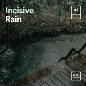 Download track Shazam Rain Natsound