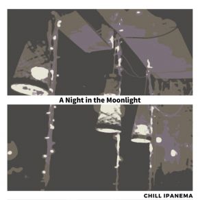 Download track Cruising The Night Chill Ipanema