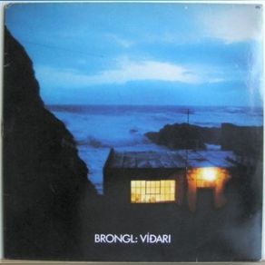 Download track Víðari' Brongl