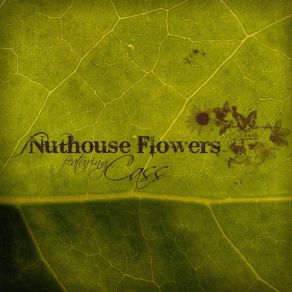 Download track Dirty Old Town Nuthouse Flowers