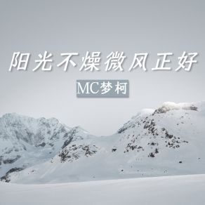 Download track 阳光不燥微风正好 Mc梦柯