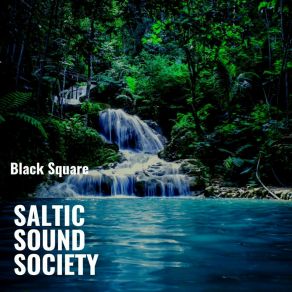 Download track Whiskey With Ice And A Couple Of Boobs Saltic Sound Society