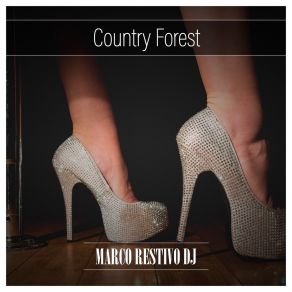 Download track Fancying (Instrumental) Marco Restivo DJΟΡΓΑΝΙΚΟ