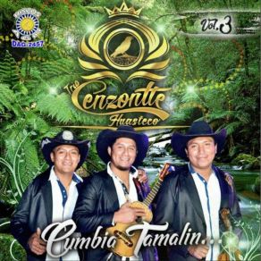 Download track Las 3 Huastecas Trío Cenzontle Huasteco