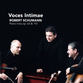 Download track 01 Piano Trio In D Minor Op. 63： I. Mit Energie Und Leidenschaft Robert Schumann