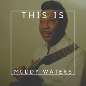 Download track Come To Me Baby Muddy Waters