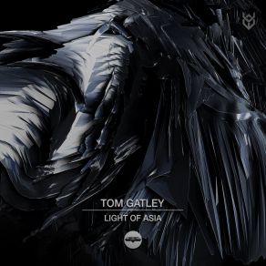 Download track Awaken Tom Gatley