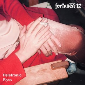 Download track Wrapped In Silk (Lesale Remix) Peletronic