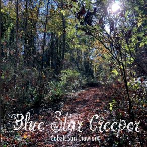 Download track Choose Love Blue Star Creeper