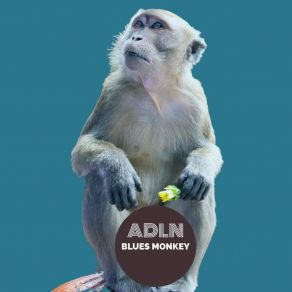 Download track Blues Monkey (Hey Alan! Electro Swing Mix) AdlnHey Alan!