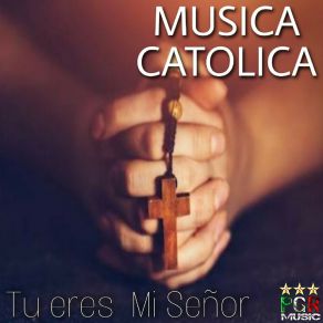 Download track Tu Eres Mi Señor Cantos Religiosos