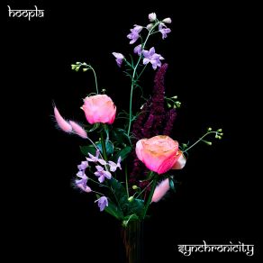 Download track Synchronicity Hoopla