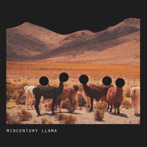 Download track I Get Confused Midcentury Llama