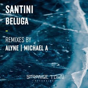 Download track Beluga (Original Mix) Michael A, Alyne, Santini