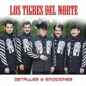 Download track Cuidado Con La Mesera Los Tigres Del Norte