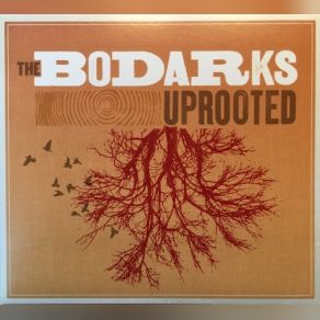 Download track The Bodarks - The Ghost Of Alma Kelmer The Bodarks