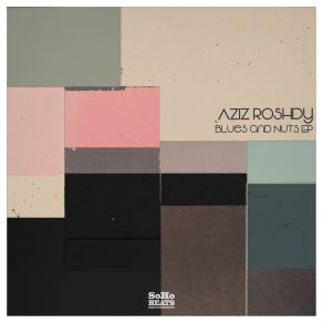 Download track Looking For Spring Aziz Roshdy