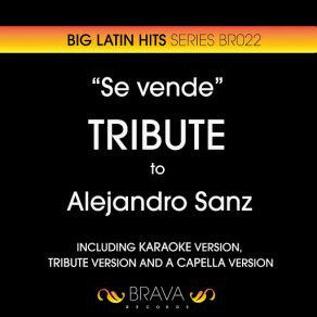 Download track Se Vende (Instrumental Version) [Originally Performed By Alejandro Sanz] Brava HitMakers