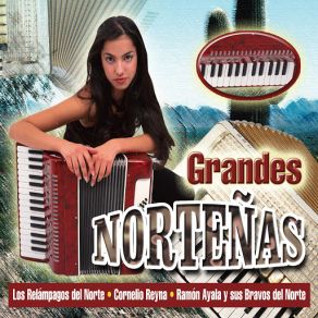 Download track Daniel Del Fierro Ramón Ayala, Cornelio Reyna, Sus Bravos Del Norte, Los Relampagos Del Norte